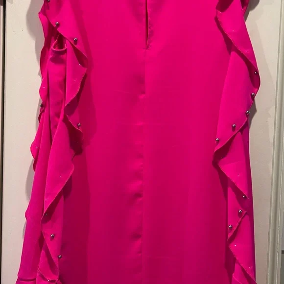 TCEC Pink Ruffle Dress - Picture 2 of 8